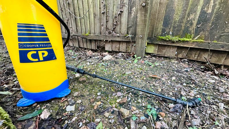 Horsetail Herbicide Treatment